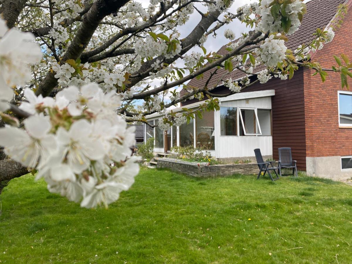 Spacious & Well Located Villa Apartement Herlev Kommune Exterior foto